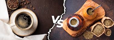 Yerba Mate vs Coffee vs Green Tea: Which Energy Drink Should You Choose?