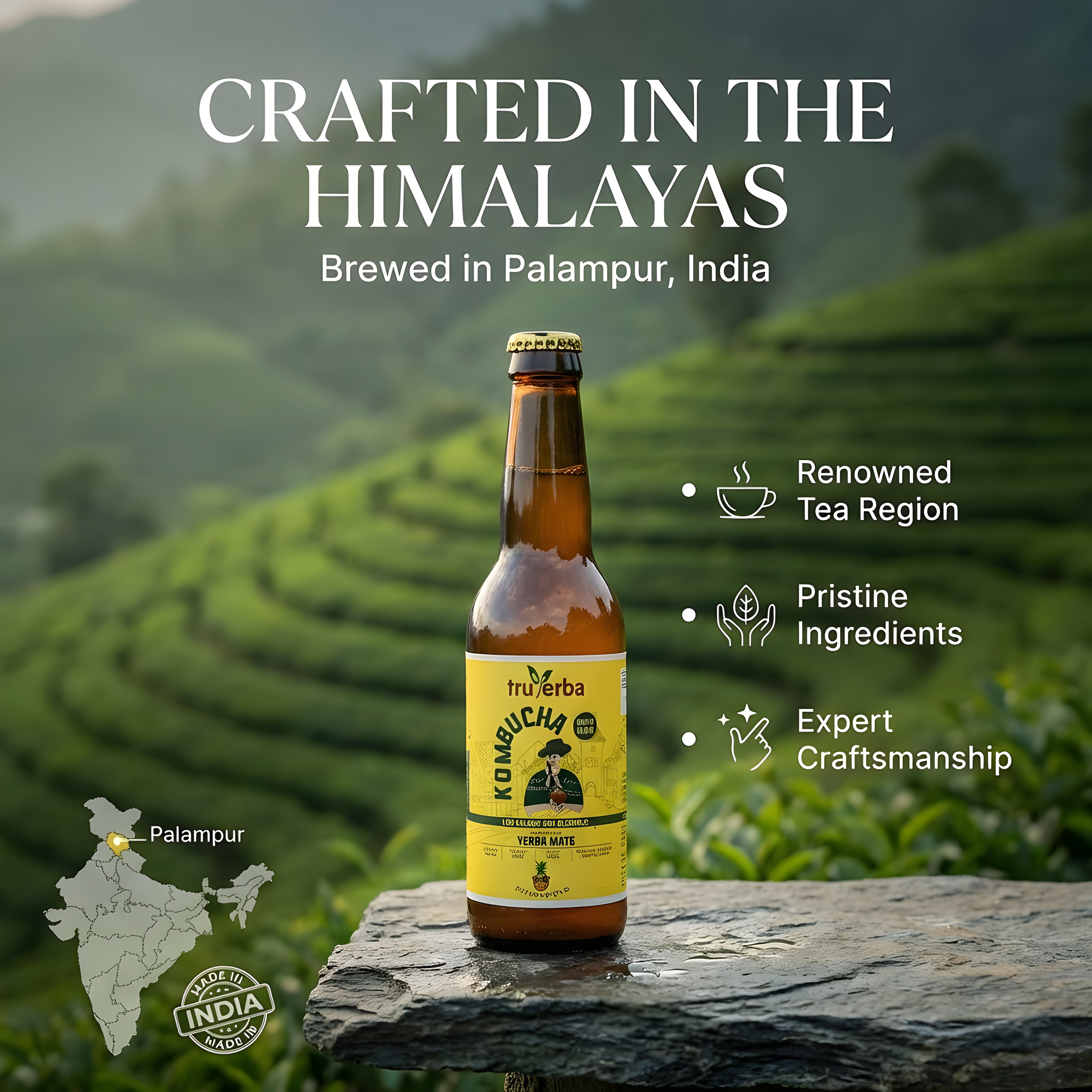 Yerba Mate Kombucha Original | Pineapple | Guava