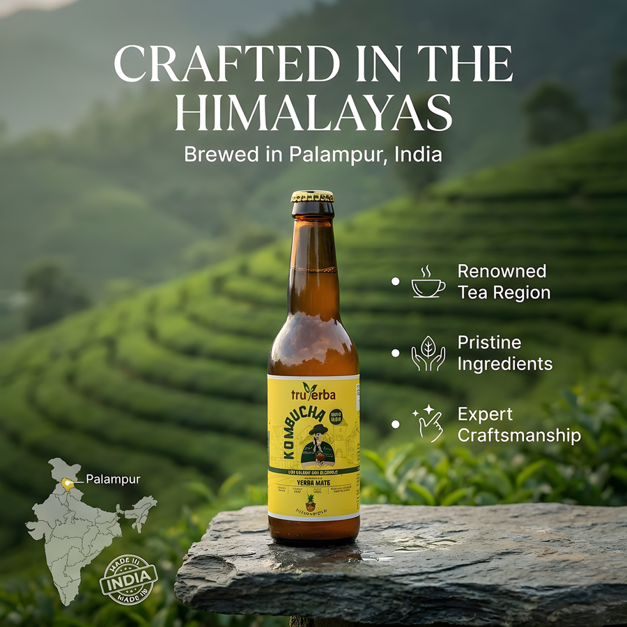 Kombucha Meets Yerba Mate. History Is Made.