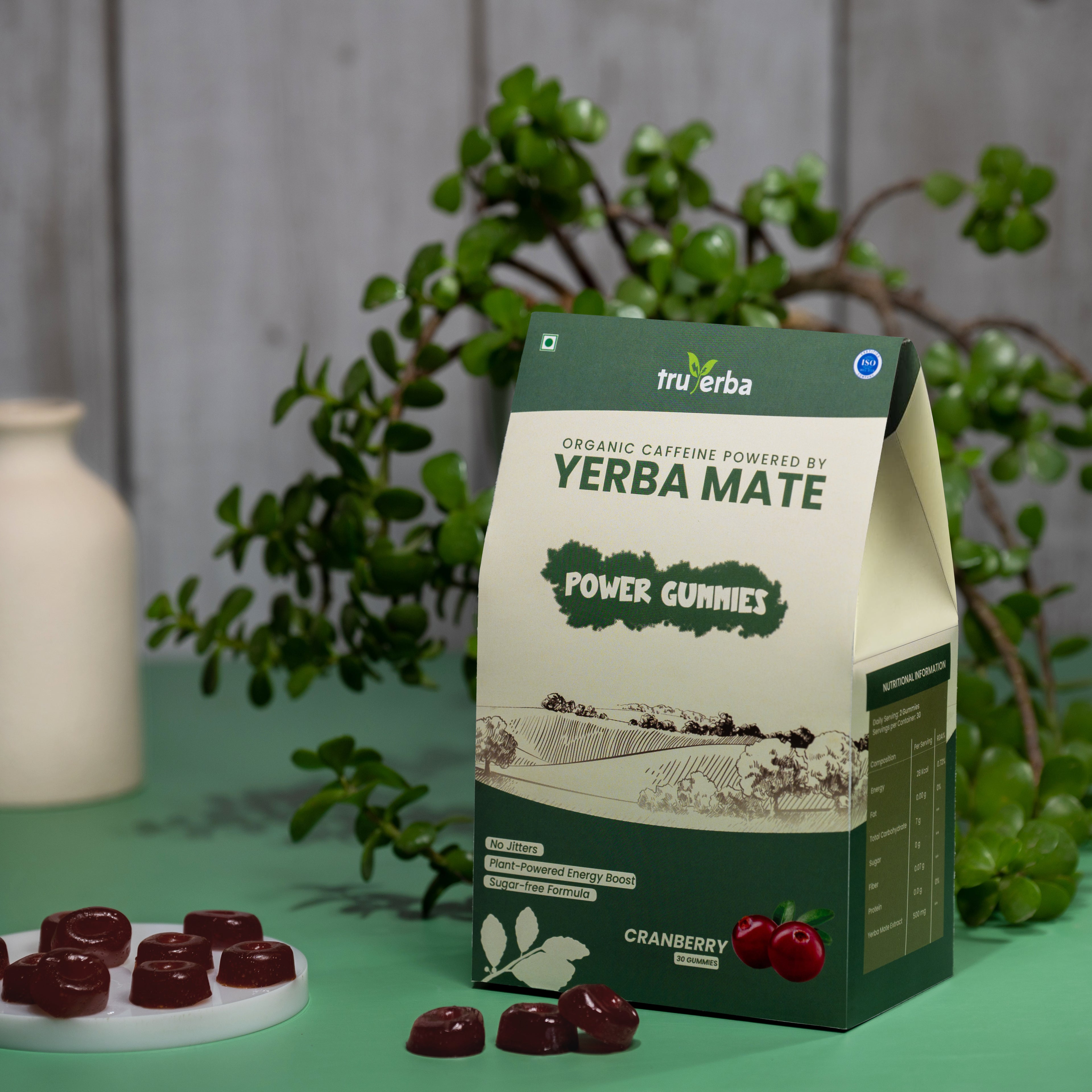Yerba Mate Power Gummies | Cranberry
