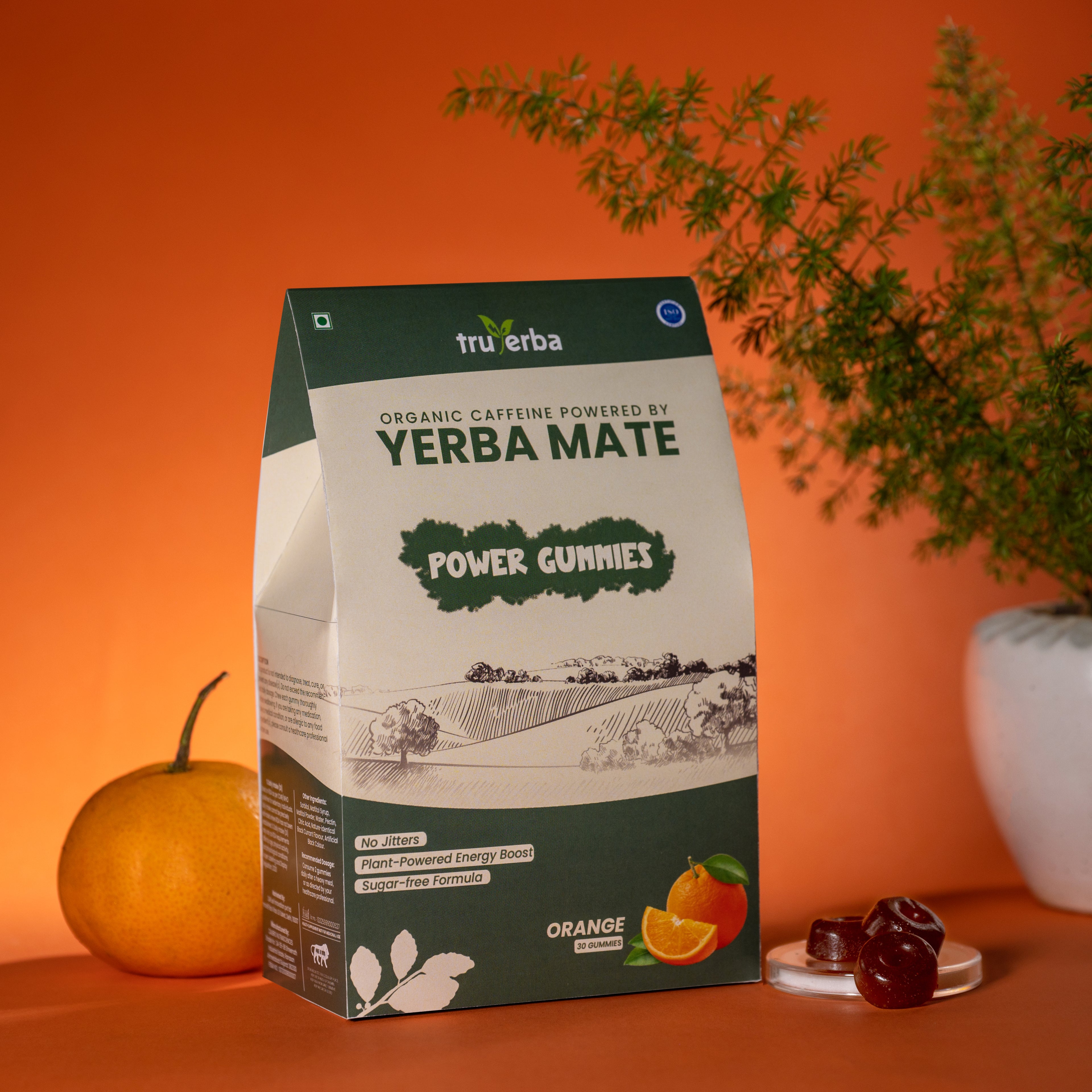 Yerba Mate Power Gummies | Orange